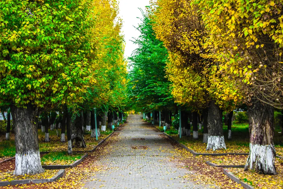towing service Highlands